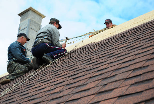 Best Gutter Installation and Roofing  in Bonnetsville, NC